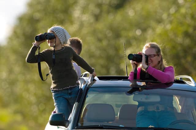 Family of mother and kids observing and photographing the spectacle of the migratory waterbirds from their car.