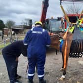 The horse was rescue after she fell on her side and was unable to get up. Picture: Hampshire and Isle of Wight Fire and Rescue Service.