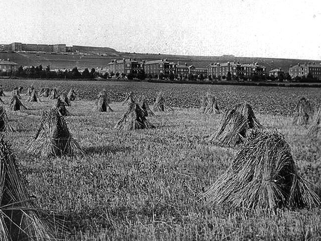 Queen Alexandra Hospital, Cosham, seen across fields