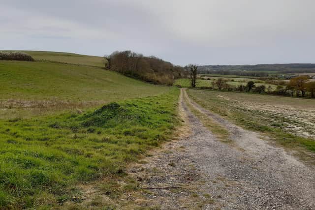 Little Duxmore farm in Wootton, Isle of Wight, has been bought by the Hampshire & Isle of Wight Wildlife Trust so it can be rewilded and help reduce nitrates leaking into the Solent, paving the way for house building to resume.
Picture: Hampshire & Isle of Wight Wildlife Trust