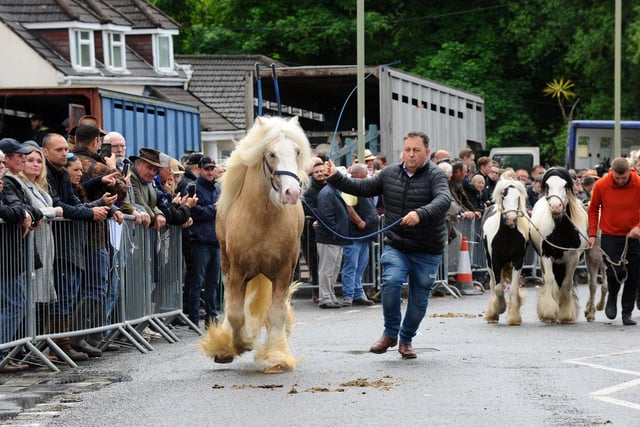 The annual Wickham Horse Fair took place on Friday, May 20, in Wickham Square and along Winchester Road, Wickham. Picture: Sarah Standing (200522-5800)