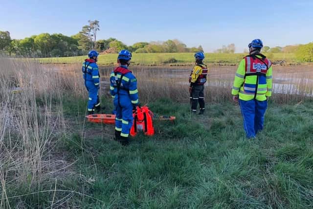 A members of the Hill Head Coast Guard Team attended a cow stuck in the mud along the River Hamble, near Botley, yesterday.