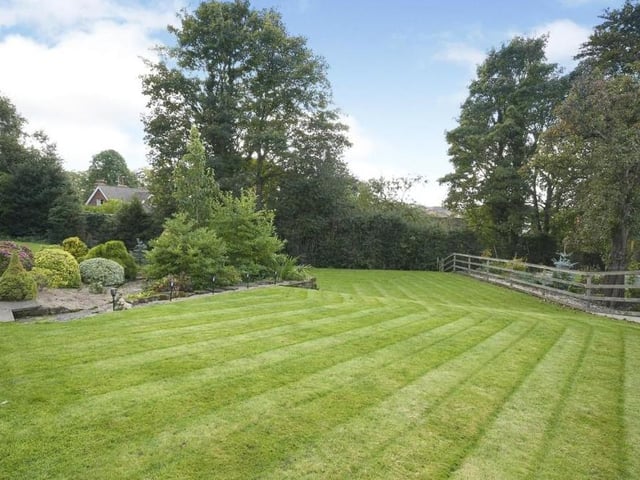 Moving outside now, and greenery abounds in the garden. A lovely lawn, trees and shrubs.