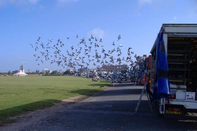 Flashback - pigeons are liberated from Southsea Common in 2007
