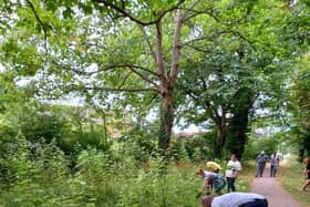 Portsmouth Interaction Conservation Group volunteers clearing a green space in Hilsea