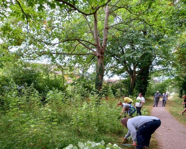 Portsmouth Interaction Conservation Group volunteers clearing a green space in Hilsea