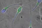 Could polluted water be leading to infertility problems?