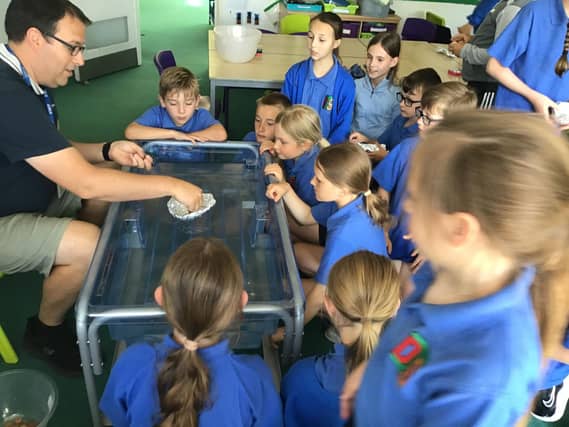 Testing our boat designs.