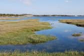 Farlington Marshes nature reserve in Portsmouth Picture: Hampshire and Isle of Wight Wildlife Trust