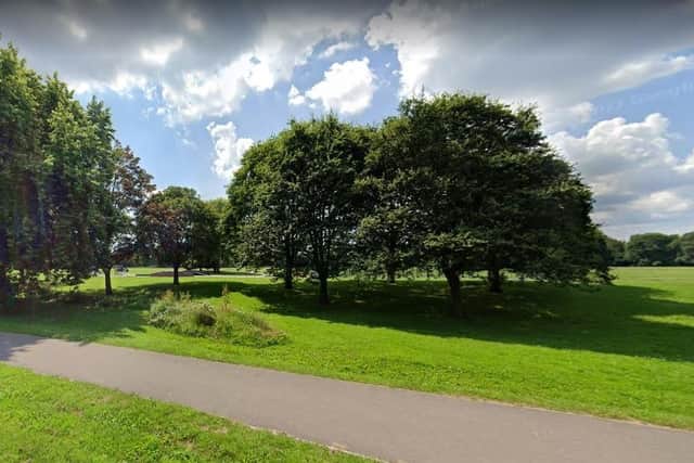 The attempted rape happened along Woodmill Lane in Riverside Park, Southampton, last night (April 9) at 8.30pm. Picture: Google Street View.