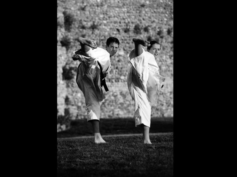 Portchester Karate Club members Andrew Hollins and Faye Chappleman won the young male and female kata respectively in the Portsmouth invitation junior Karate tournament in 1995. The News PP4878