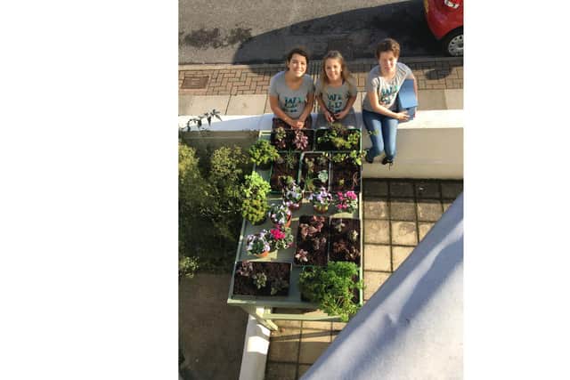 Residents of Francis Avenue have been growing plants in their forecourts to create a wild street. Picture from Laura Mellor