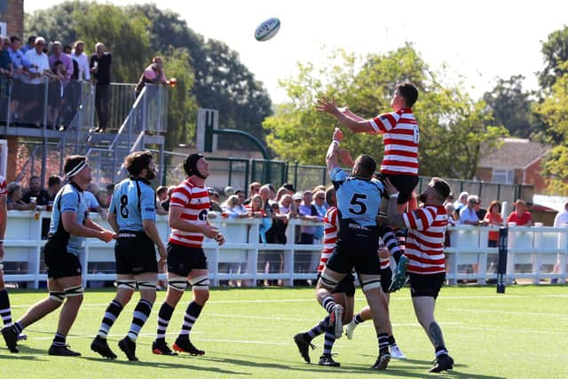 Rising high to gather a line out. Picture: Sam Stephenson