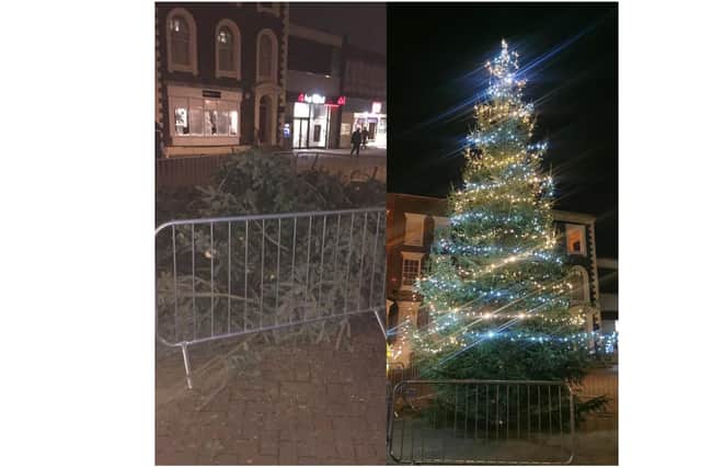 Before and after: the first 'defective' Christmas tree, pictured left, having been hacked down and, right, the new tree now placed in Gosport's town centre