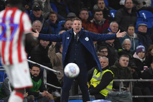 Neil Harris (Photo by Stu Forster/Getty Images)