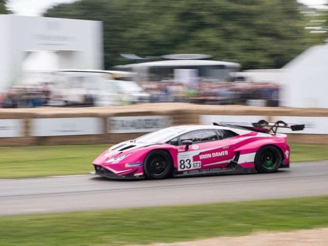 Petrolheads flocked to the motoring festival which saw countless amounts of supercars and other vehicles.