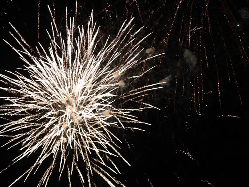 Portsmouth City Council's firework display on Southsea Common
Picture: Chris Moorhouse (jpns 011123-57)