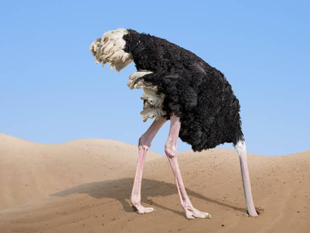 SANDY HEAD: Better to bury your head than keep hitting refresh on social media