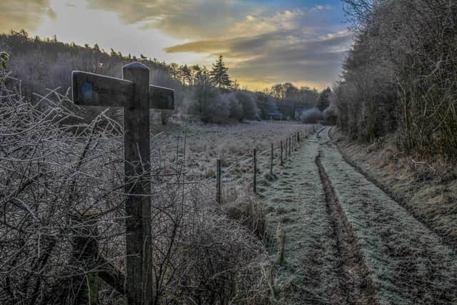 Approaching Hooksway south of Beacon Hill, West Sussex. An early morning circular walk from Harting Down enjoying the crisp frosty conditions. Picture by SDNPA/Roy Saunders