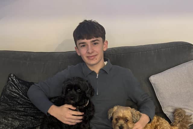 Improving: Finley with the family’s lassapoos Betsy and Dottie