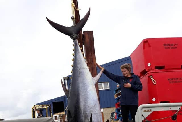 The tuna was 2 metres in legnth and weighed 180kg.