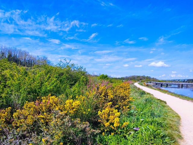 Farlington Marshes provides a circular 5km route with stunning views. The route is popular with runners and walkers alike but be prepared it can get quite muddy.
