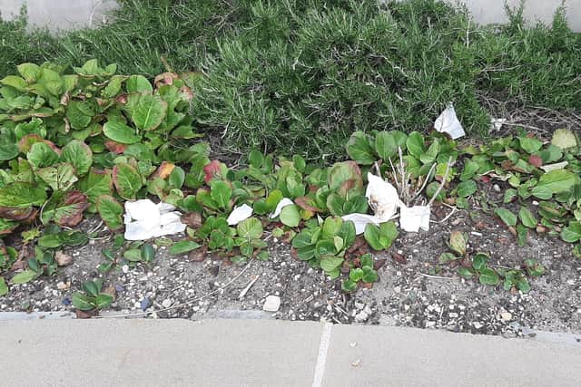 Used toilet roll dump in scrubs at the Portsmouth Naval Memorial, which has seen people defecating at it.