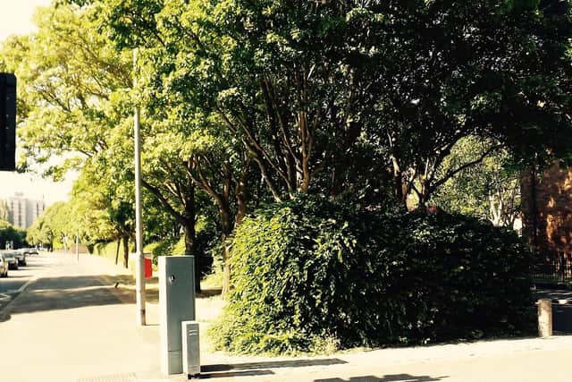 Both the church and St John’s Road have now gone, replaced by Holbrook Road and trees.  Picture: Bob Hind