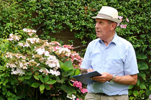 Judging for The News's Bloomin' Marvellous competition in August 2012. Picture: Sarah Standing (122798-3070)