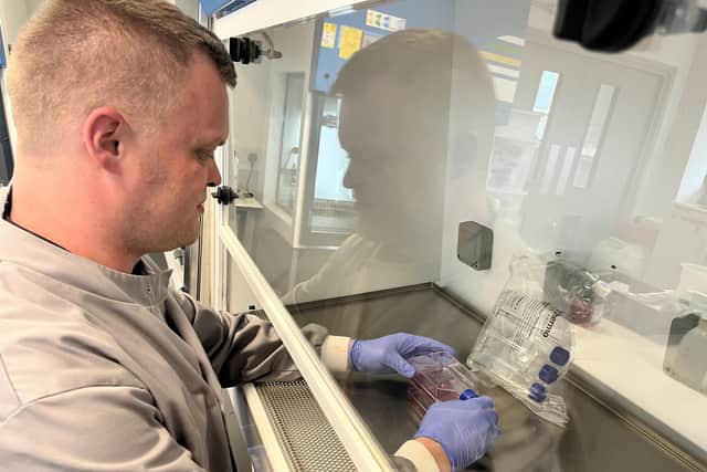 Scientists and engineers at the University of Portsmouth have designed a new biomaterial, inspired by limpets, which could potentially be used instead of plastics. Dr Robin Rumney lead the research.