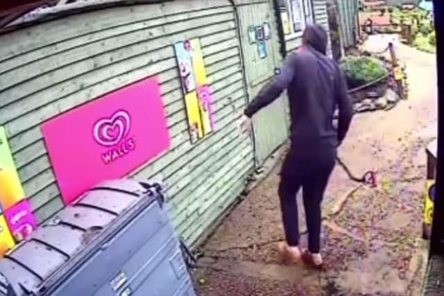 A yob pictured running after Rooney the cat moments before hurling a rock at the terrified feline after breaking into Southsea Model Village's site yesterday.
