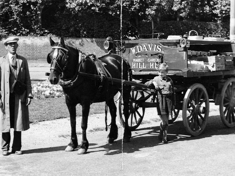 Bob Davis's dad who was a green grocer and Bob looking proud, taken on the corner of Portsmouth Road outside what was then Bennetts Paper shop, the horses name was Joey. Dad looked very smart with a white shirt and tie, with his money bag, I was eight which means this photograph was taken in 1950 says Bob.