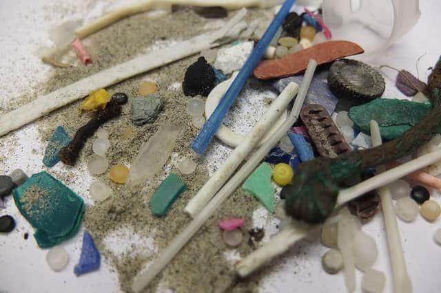Examples of plastics collected on the beach