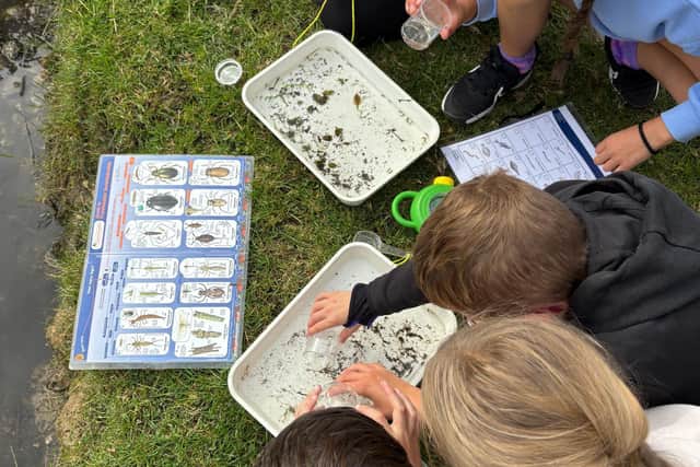 Bosmere Junior School field trip to Chichester Harbour