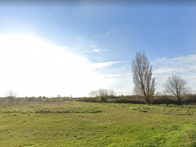 Hampshire is home to so many splendid dog walking spots that you cannot miss.
