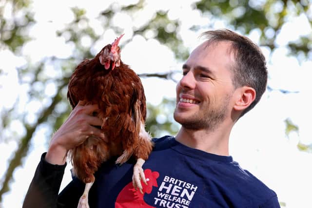 Volunteer Jacob Smith. British Hen Welfare Trust rehomes hens, Rowlands Castle
Picture: Chris Moorhouse