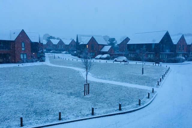 Snow in Swanmore. Picture: Sarah Standing