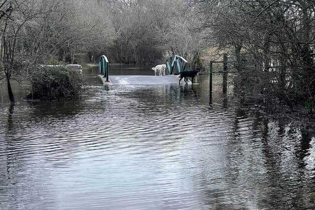Apple Dumpling Bridge covered in water due to rainfall. Picture: Philip Normington-Johnson