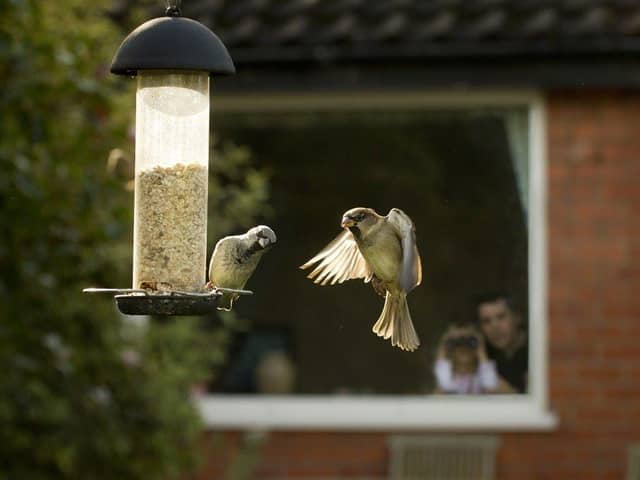 The RSPB is calling on Hampshire residents to take part in the Big Garden Birdwatch.