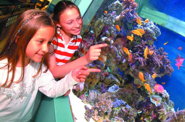 There are plenty of animal attractions in the Portsmouth area that are great for the school holidays.