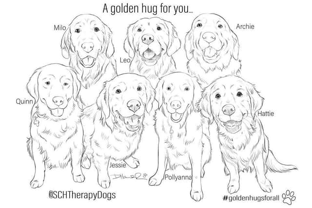 Therapy dogs from Southampton Childrens Hospital are spreading important health information and engaging children in a colouring campaign while they cannot visit wards. Pictured: The blank colouring template