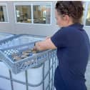 Preparing for 'Return of the Oyster' nature recovery project