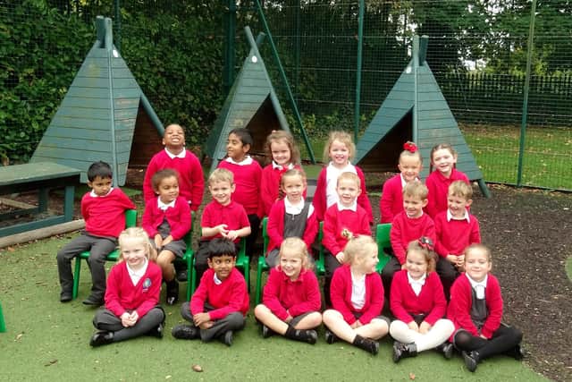 Bumblebees Class