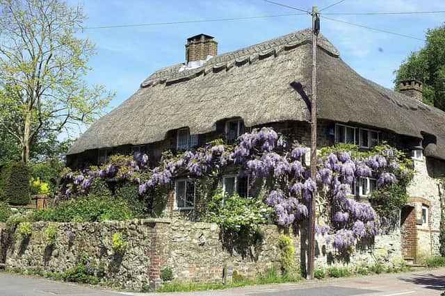 Wisteria in bloom at Old Place, Amberley. Picture: Malcolm McCluskey