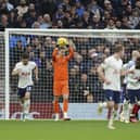 Pompey fans have had their say on the defeat to Spurs.