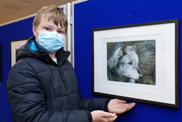 Jack Shields, 14, with his picture of a wolf. Wildlife photography exhibition at the Central Library, Portsmouth. The work is by pupils from The Harbour SchoolPicture: Chris Moorhouse (jpns 200521-02)