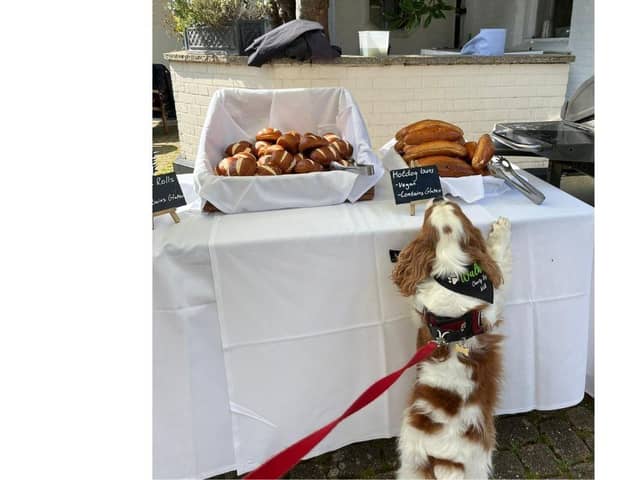 Mynewhair have hosted a dog charity event and they raised over £2,100.