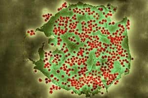 A new mutation of the Covid-19 Omicron variant has been discovered, health chiefs in the UK have warned.