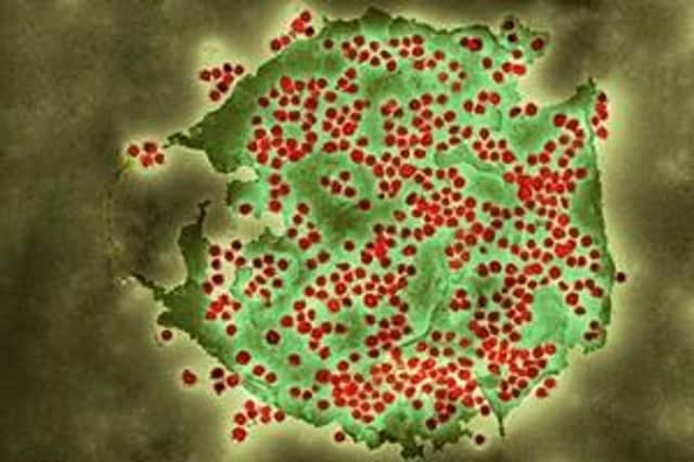 A new mutation of the Covid-19 Omicron variant has been discovered, health chiefs in the UK have warned.