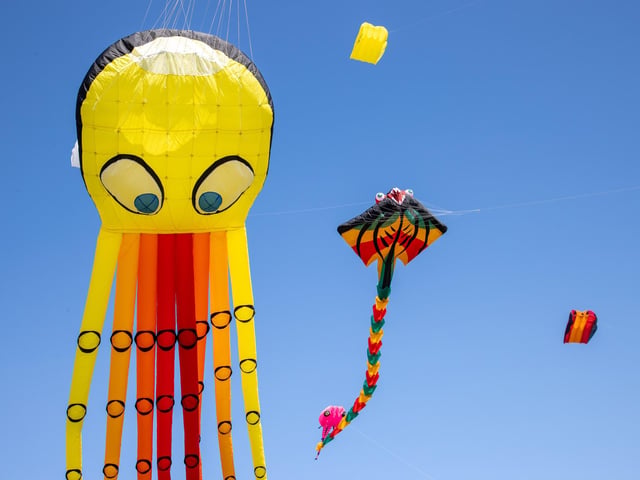 Pictured - Incredible kites on display at the Portsmouth Kite FestivalPhotos by Alex Shute